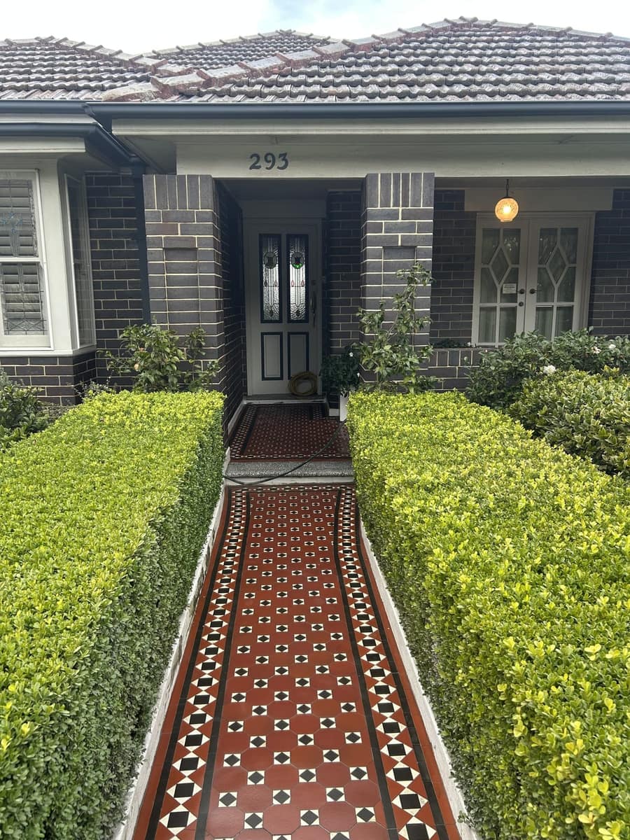 Brick red, black and white Raglan path with a Windsor border between clipped hedges to a brick bungalow, Summer Hill